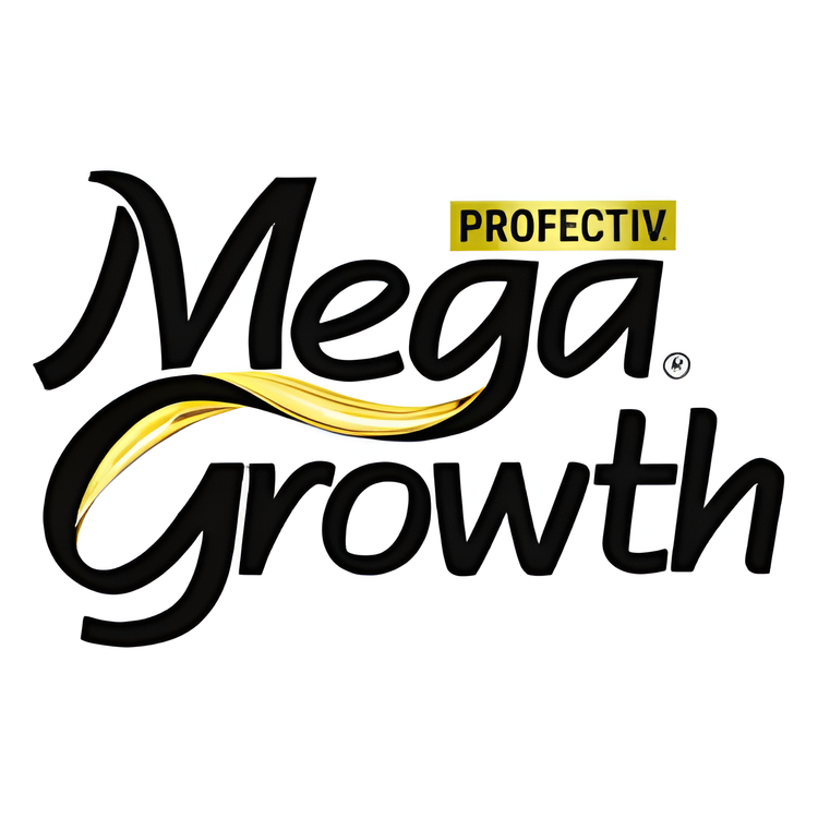 Mega Growth (Profectiv)